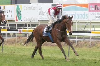 An impressive Ladies First (NZ) wins the NZB Finance 3YO race at New Plymouth today. Photo Credit: Trish Dunell. 